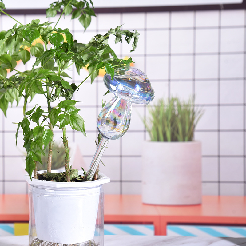 1/2 قطعة القش الزجاجي التلقائي - مراجعة Plant Parent Kit وسعره