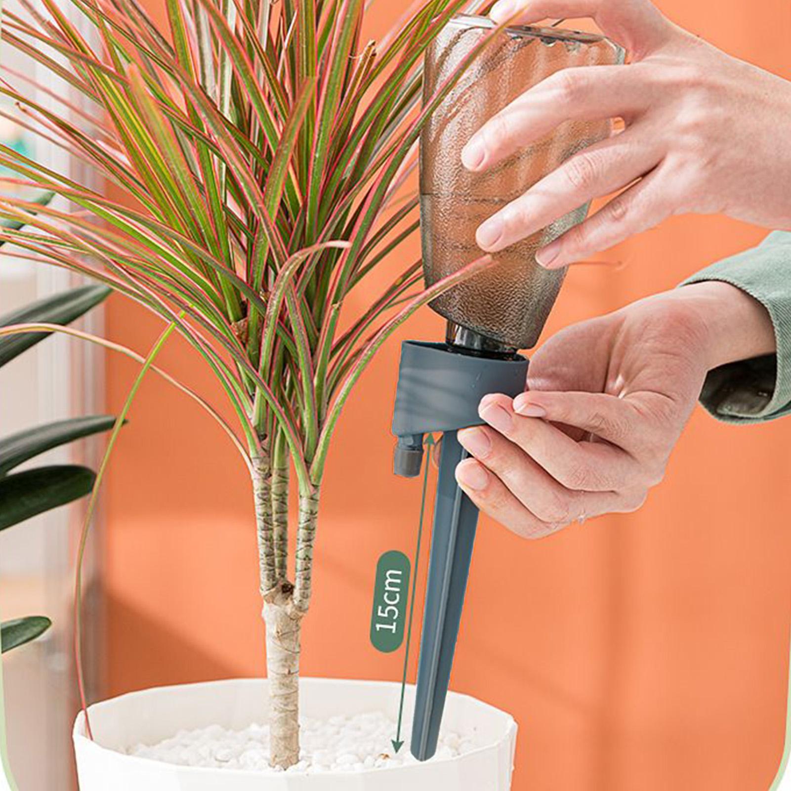6 قطع من أجهزة الري الأوتوماتي - مراجعة Plant Parent Kit وسعره